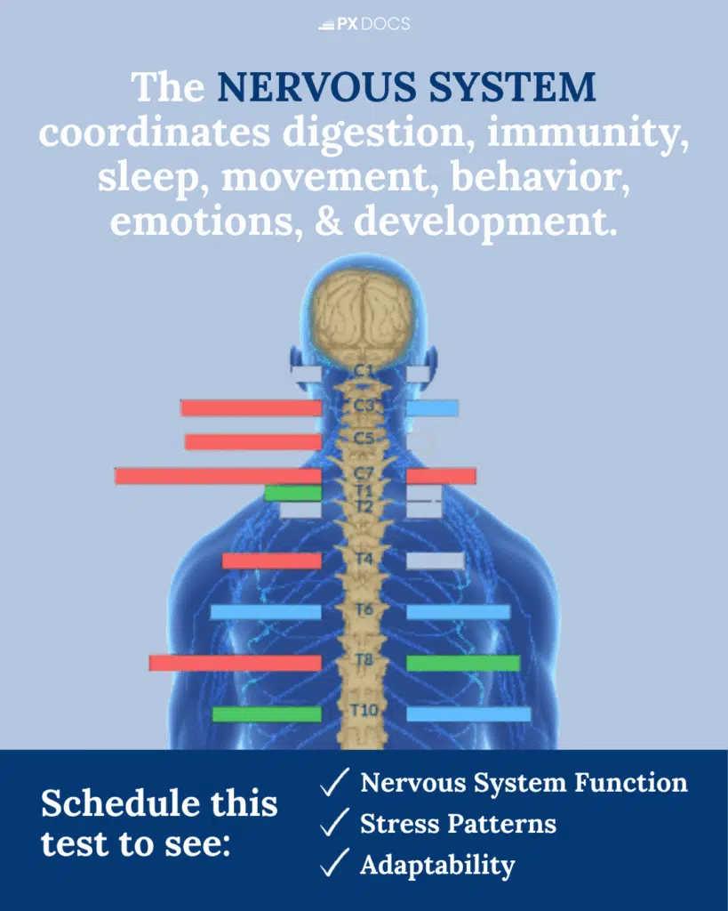 INSiGHT Scans | PX Docs