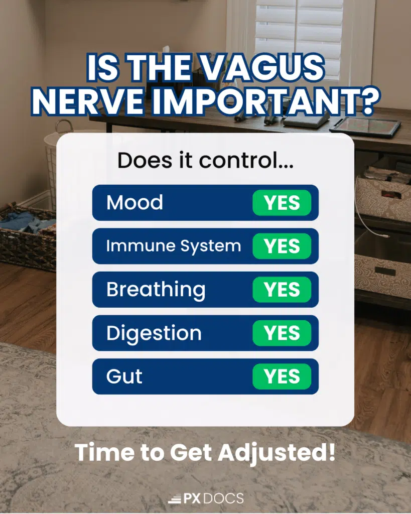 What is the Vagus Nerve? | PX Docs