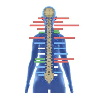 From Anxiety and Stress to Excelling in School With Less Anxiousness | PX Docs