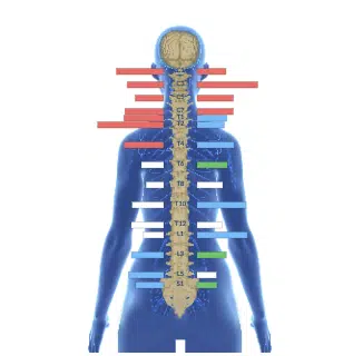 From Anxiety and Stress to Excelling in School With Less Anxiousness | PX Docs