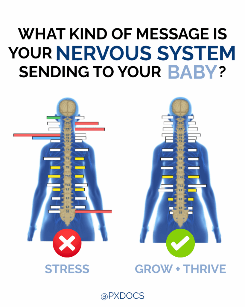 Prenatal Chiropractic | PX Docs