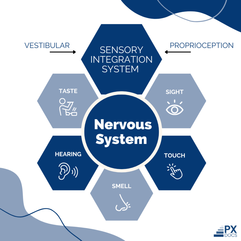 Sensory Integration Disorders | PX Docs