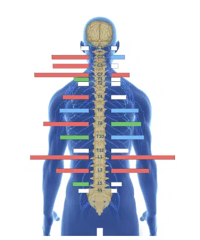 From Frequent Seizures and Declining Cognitive Function to Full Months of Being Seizure-Free and Better Focus | PX Docs