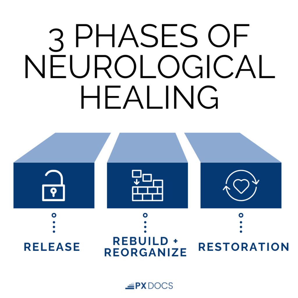 The Roadmap to Neurological Healing: The 3 Phases of Restoration | PX Docs