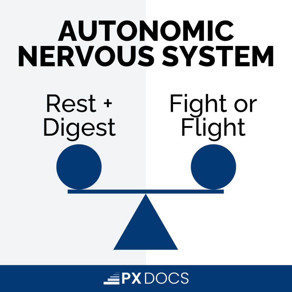 Parasympathetic Nervous System: The Key to Healing Your Child’s Chronic Health Struggles | PX Docs