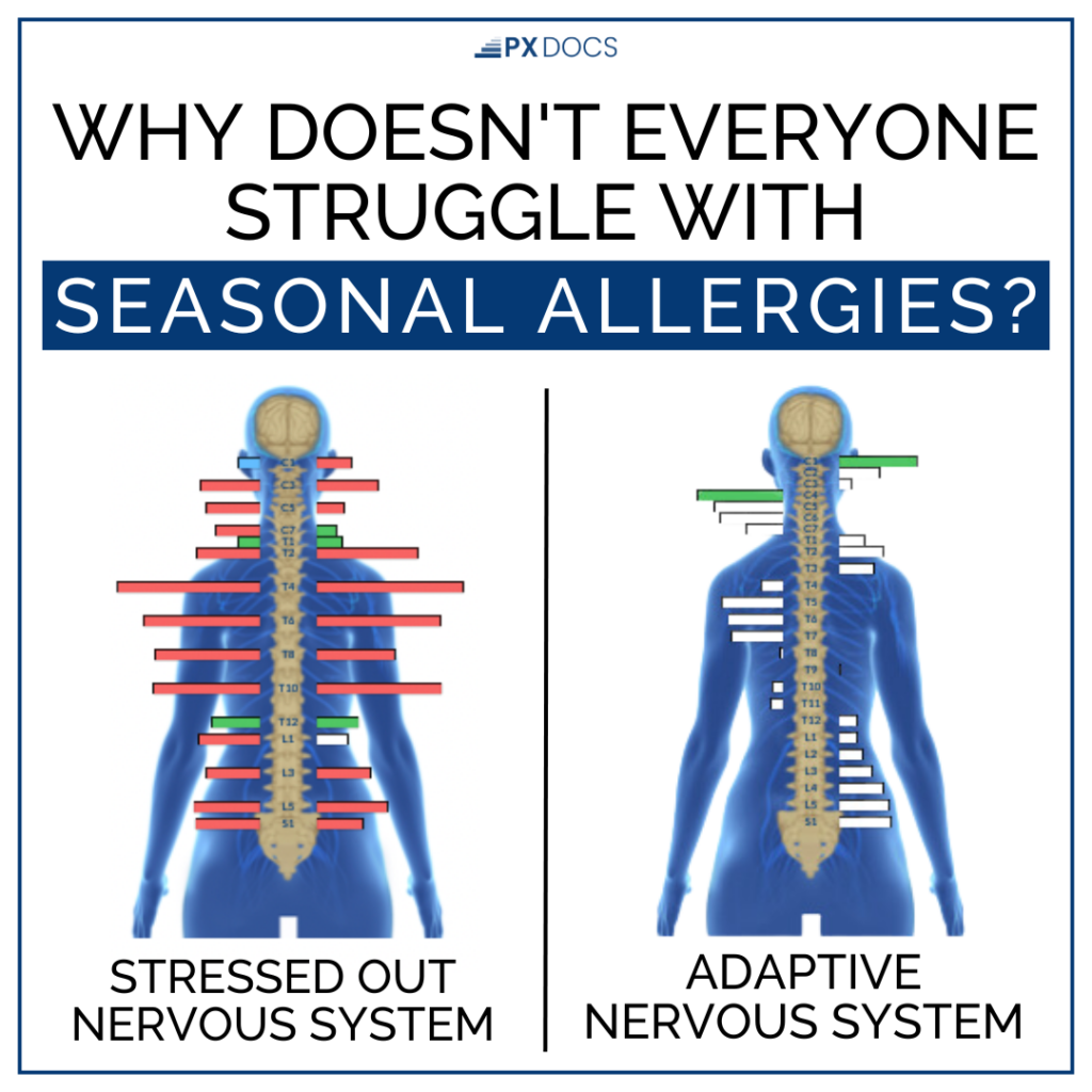 Everything You Need to Know About Seasonal Allergies | PX Docs