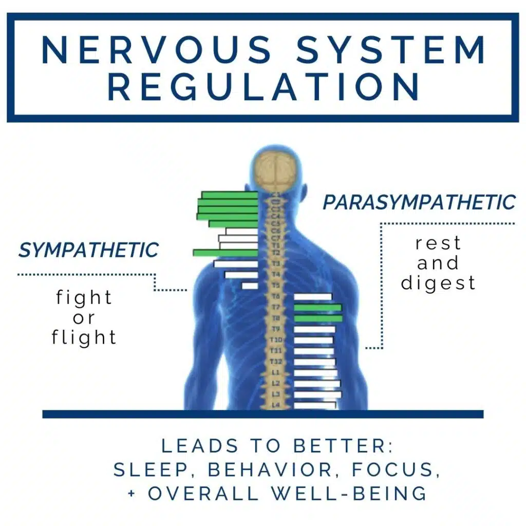 Nervous System Regulation: The Key to Optimal Health and Balance for Your Child | PX Docs