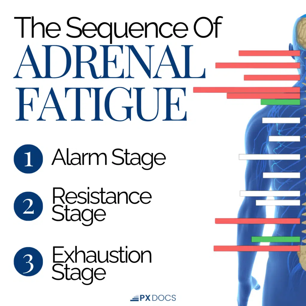 How to Fix Adrenal Fatigue Naturally | PX Docs