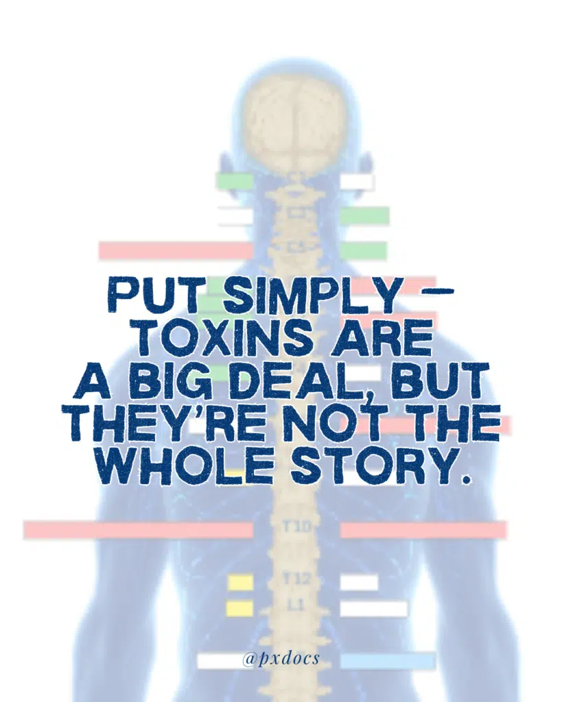 How Environmental Toxins Impact Children's Health | PX Docs