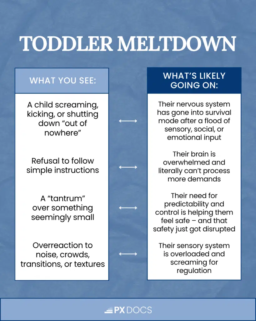 Understanding Autism Meltdowns and the Neurological Approach to Care | PX Docs