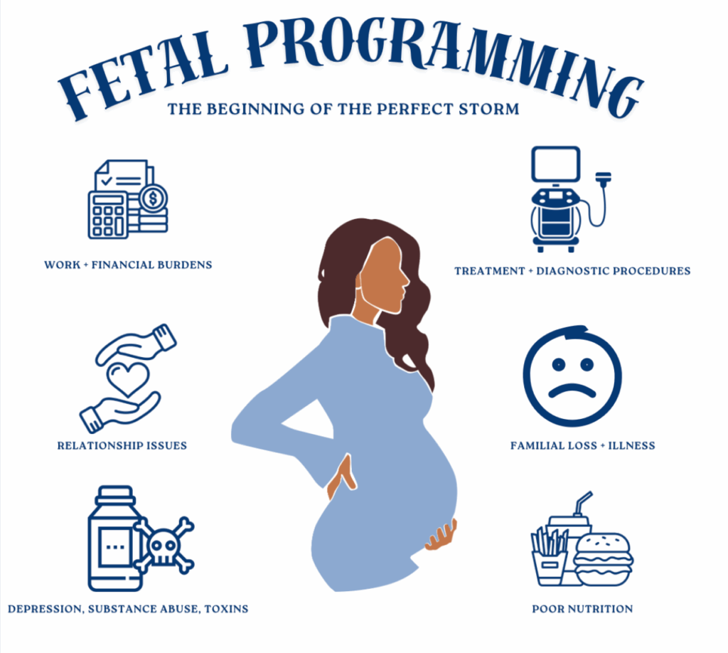 How Stress During Pregnancy Impacts Infant Development | PX Docs
