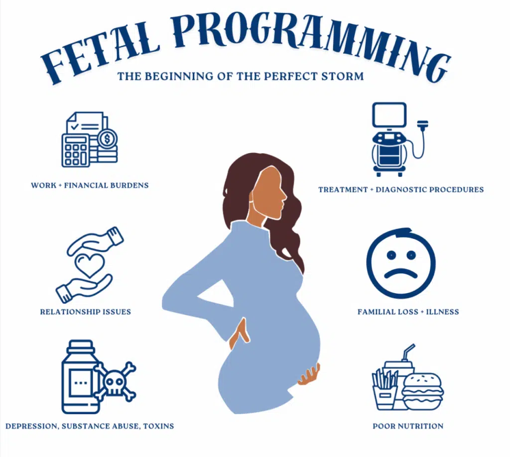 How Stress During Pregnancy Impacts Infant Development | PX Docs