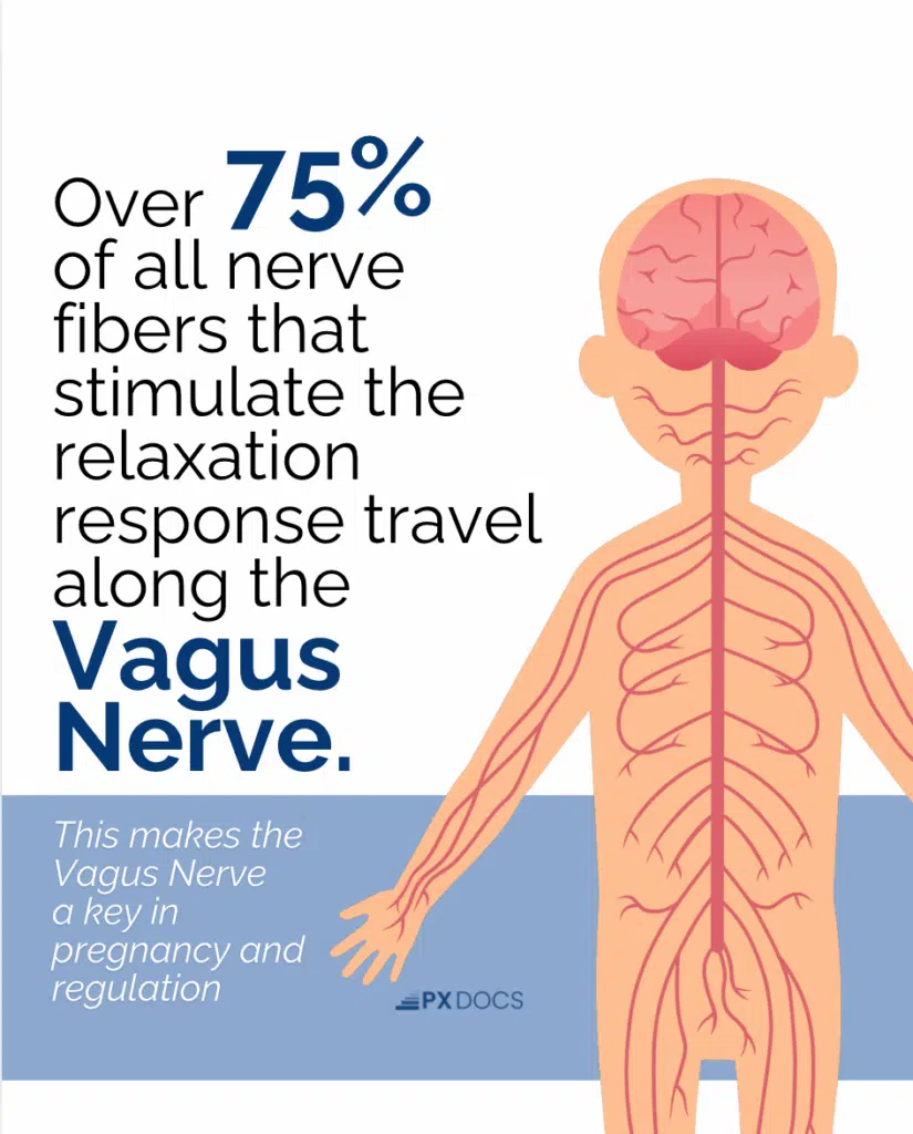How Stress During Pregnancy Impacts Infant Development | PX Docs