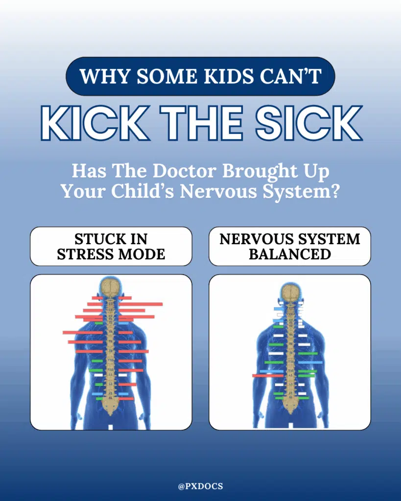 How Are Nervous System and Immune System Dysregulation Connected? | PX Docs