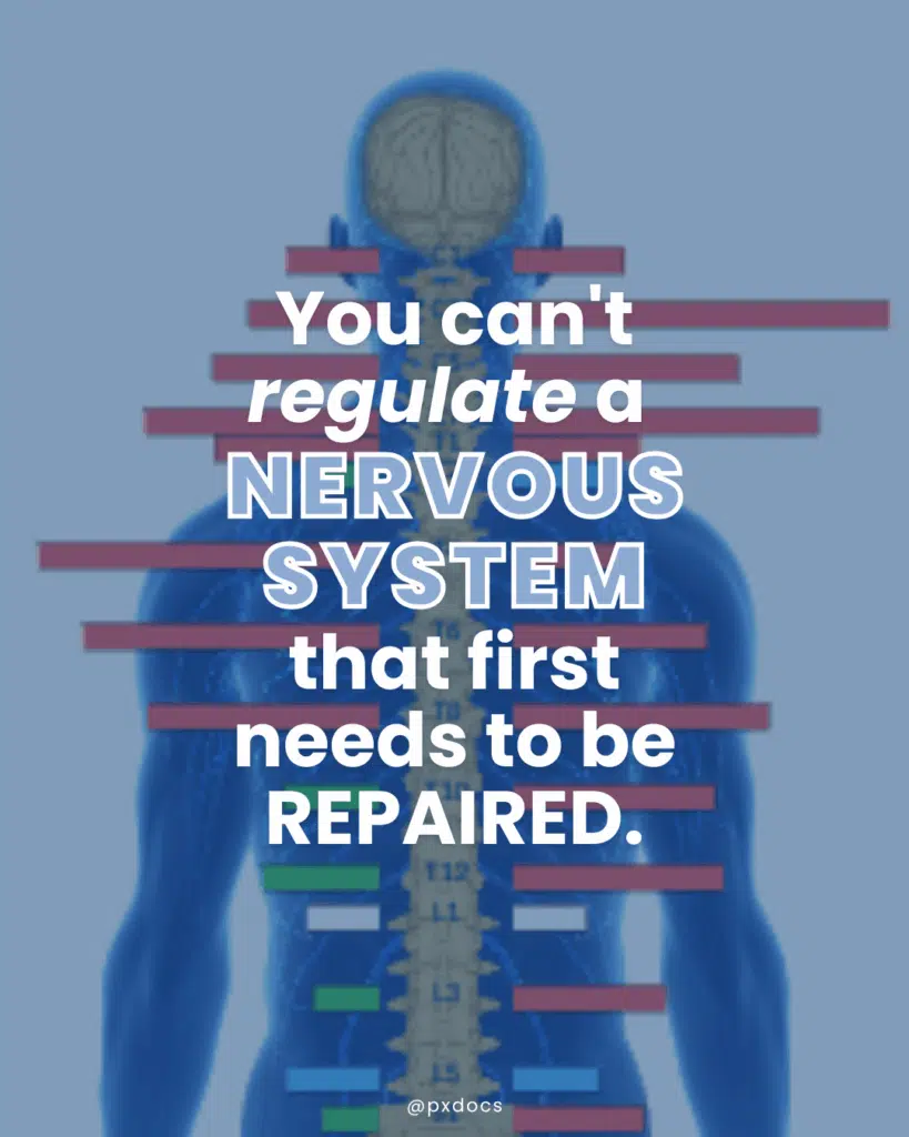 Repair Before Regulate: The Missing Link in Your Healing Journey | PX Docs