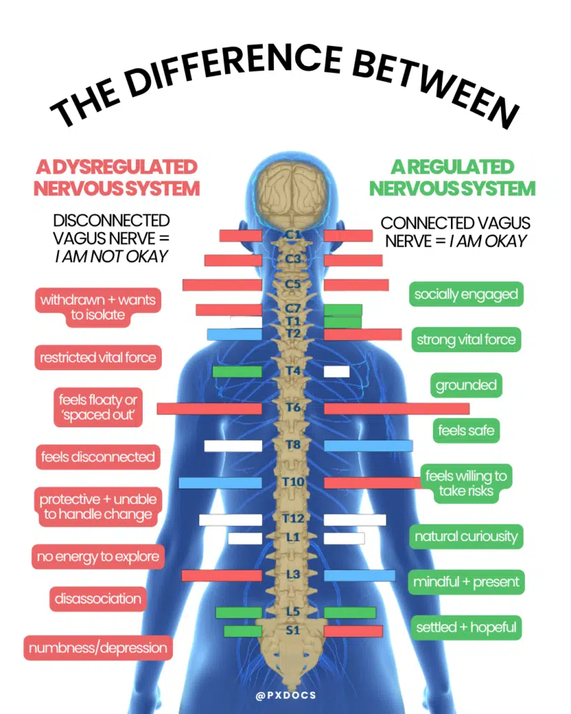 Repair Before Regulate: The Missing Link in Your Healing Journey | PX Docs