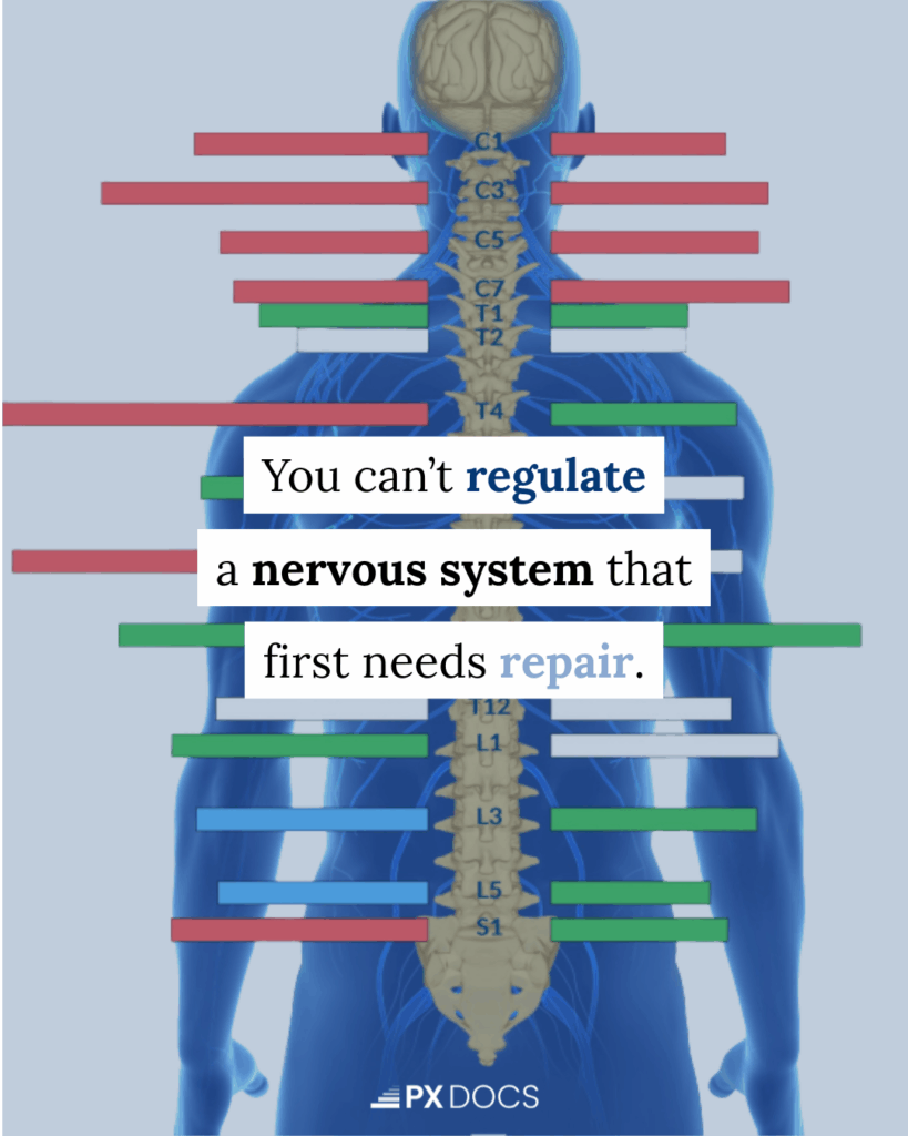 Repair Before Regulate: The Missing Link in Your Healing Journey | PX Docs