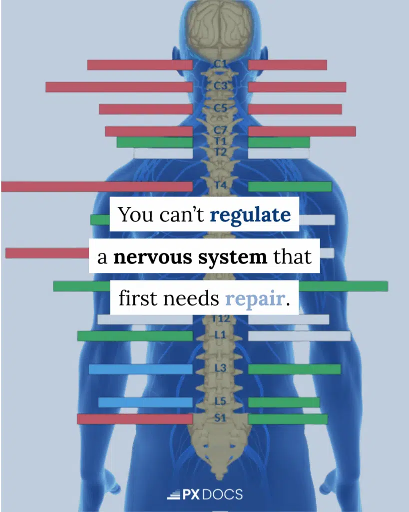 Repair Before Regulate: The Missing Link in Your Healing Journey | PX Docs