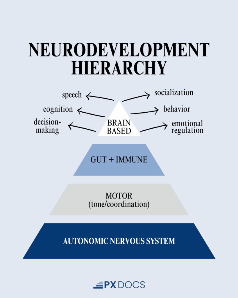 The Five Developmental Domains: Supporting Your Child's Growth | PX Docs