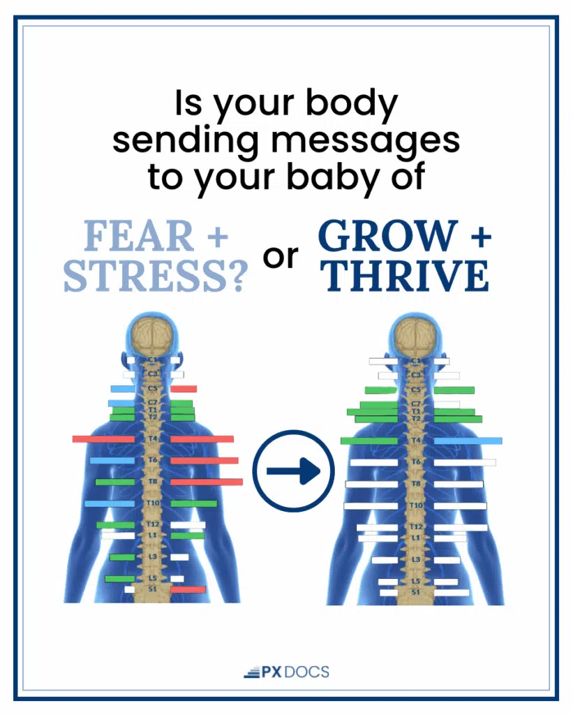 Why Nervous System Regulation Before Birth Matters Most | PX Docs