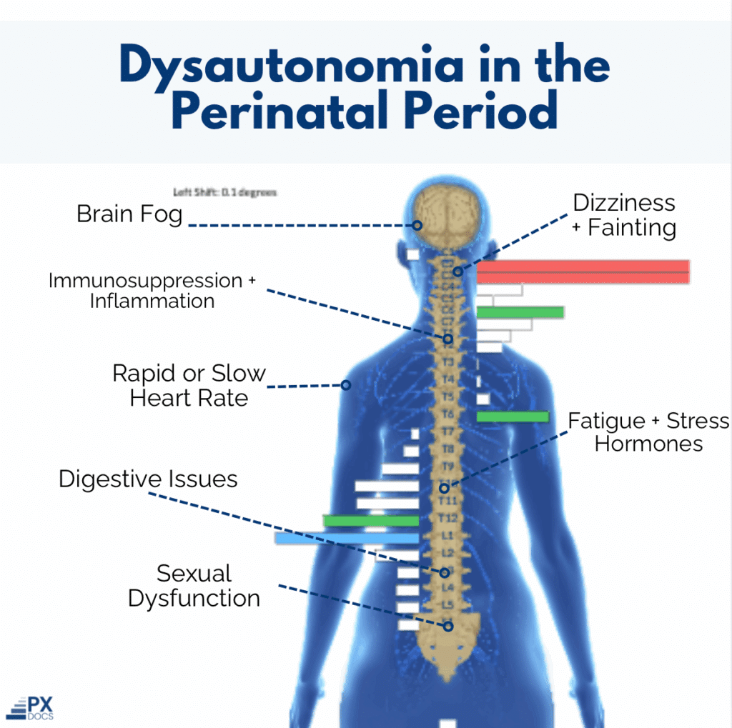 Why Nervous System Regulation Before Birth Matters Most | PX Docs