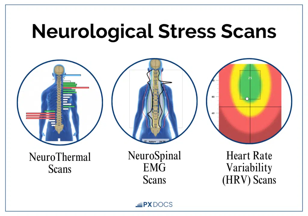 Understanding the Polyvagal Ladder: Why Some Children Get Stuck in Survival Mode | PX Docs