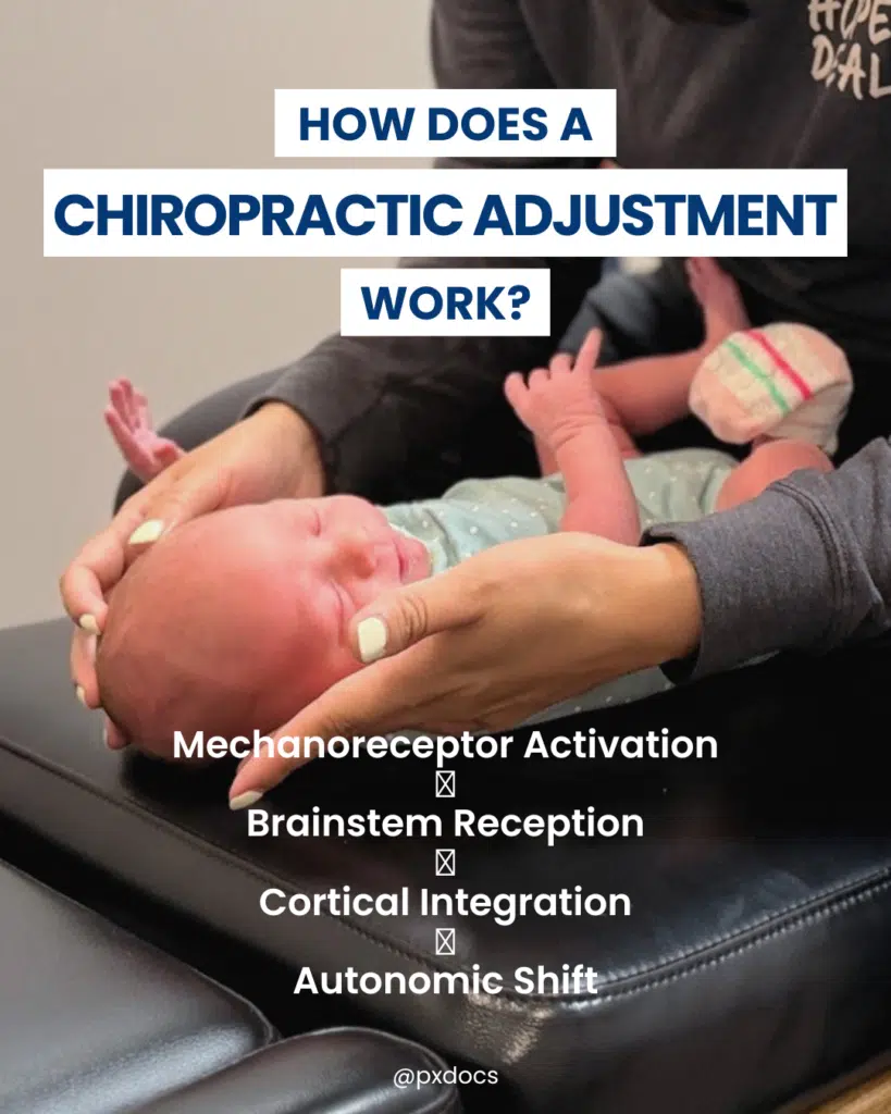 How Does a Chiropractic Adjustment Work? | PX Docs